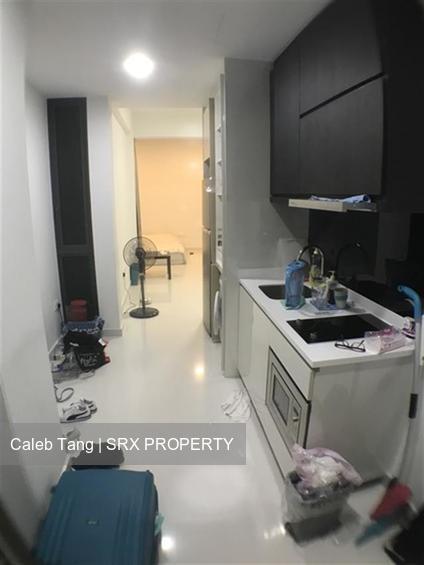 The Cristallo (D15), Apartment #182333012